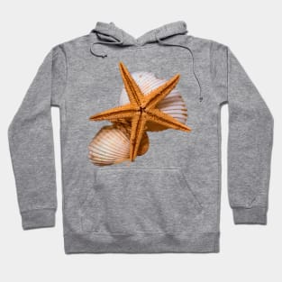 Summer Seashells Beach Sun Vacation Hoodie